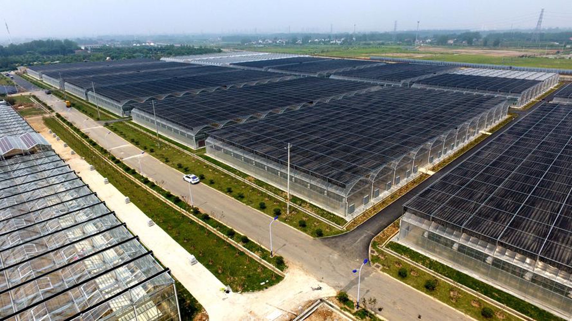 富顺镇农产品加工:传统与创新的完美融合